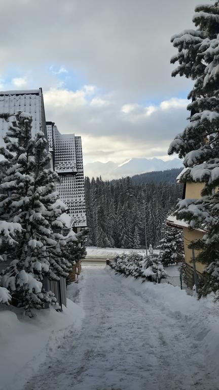 U Siebie W Gorach Apartamenty Bukowina Tatrzanska Exterior photo